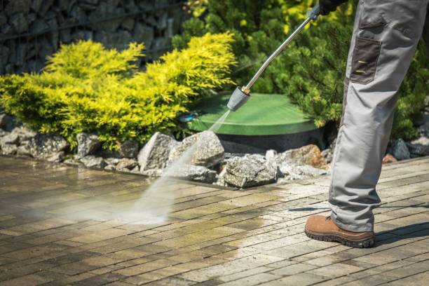 Best Pool Deck Cleaning  in Occidental, CA