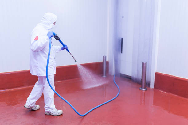 Animal Enclosure Cleaning in Occidental, CA