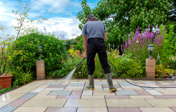 Best Winterizing Services  in Occidental, CA