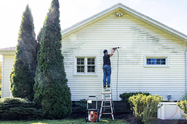 Best Building Exterior Washing  in Occidental, CA